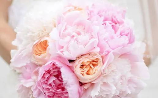 2026年11月11日领证日子如何 今日登记领证好吗