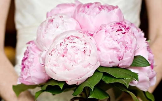 2042年03月08日领证好不好 宜领证结婚吉日查询