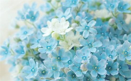 2034年农历五月十四领证好不好 是领证结婚好日子吗