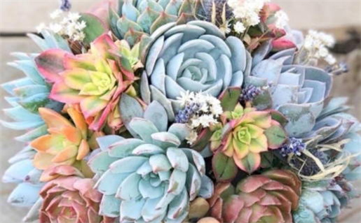 2029年农历正月初五领证好吗 今日登记领证好吗