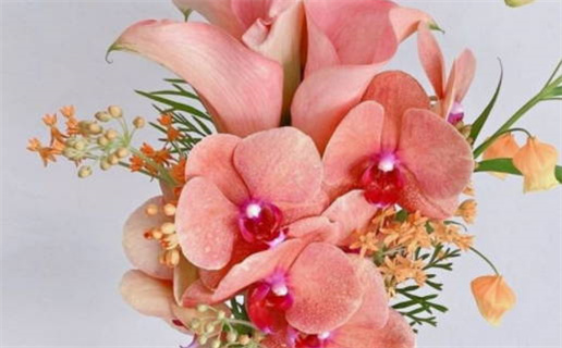 2032年农历二月十六领证黄道吉日 今日登记结婚好不好