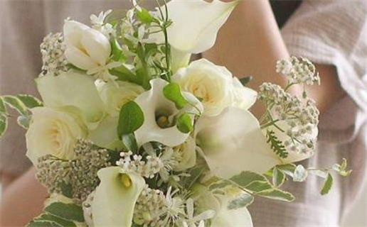 2033年农历二月初三是不是领证吉日 今日登记领证好吗