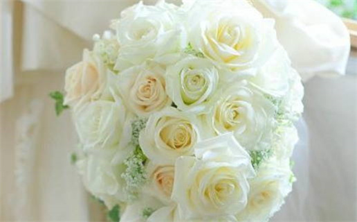 2024年农历冬月十二是不是领证吉日 宜领证吉日查询