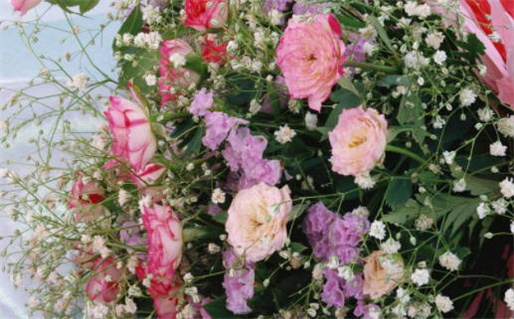 2028年09月21日领证日子如何 是登记领证好日子吗