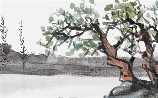 2031年11月13日领证好吗 今日登记领证好不好