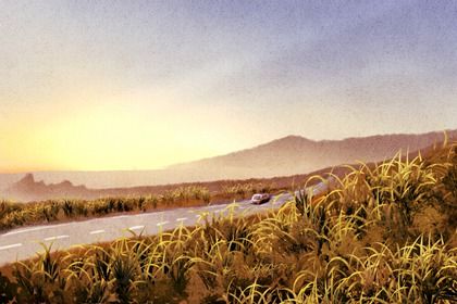 2029年10月19日是不是提车吉日 买新车吉利吗