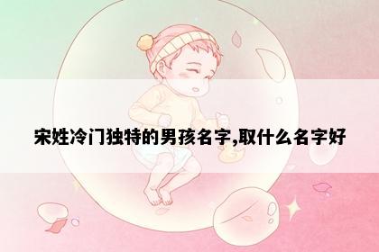 宋姓冷门独特的男孩名字,取什么名字好