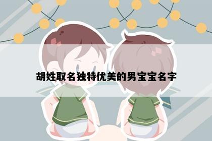 胡姓取名独特优美的男宝宝名字