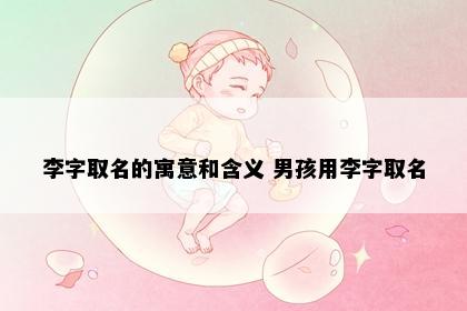 李字取名的寓意和含义 男孩用李字取名