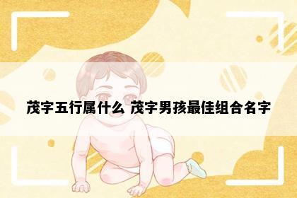 茂字五行属什么 茂字男孩最佳组合名字