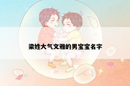 梁姓大气文雅的男宝宝名字