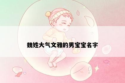 魏姓大气文雅的男宝宝名字
