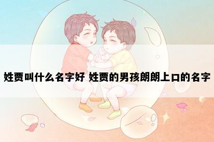 姓贾叫什么名字好 姓贾的男孩朗朗上口的名字