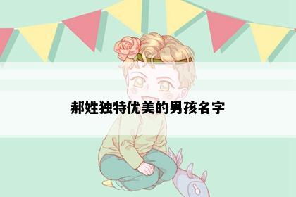 郝姓独特优美的男孩名字