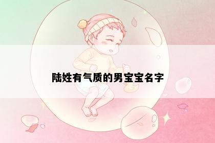 陆姓有气质的男宝宝名字