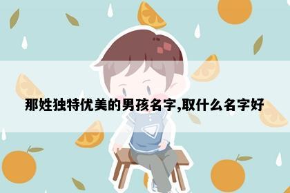 那姓独特优美的男孩名字,取什么名字好