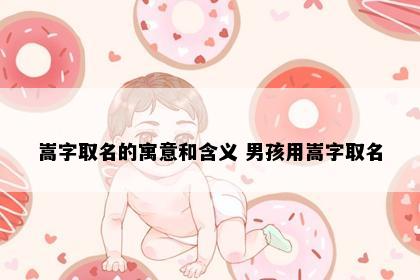 嵩字取名的寓意和含义 男孩用嵩字取名