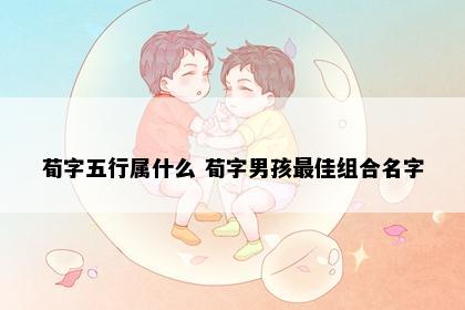 荀字五行属什么 荀字男孩最佳组合名字