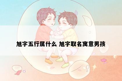 旭字五行属什么 旭字取名寓意男孩