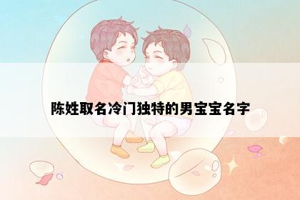 陈姓取名冷门独特的男宝宝名字
