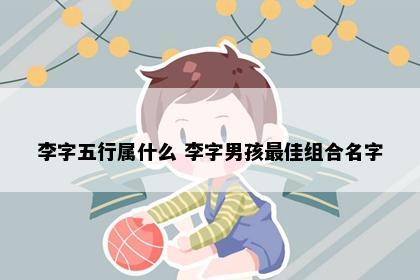 李字五行属什么 李字男孩最佳组合名字