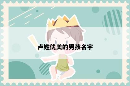 卢姓优美的男孩名字