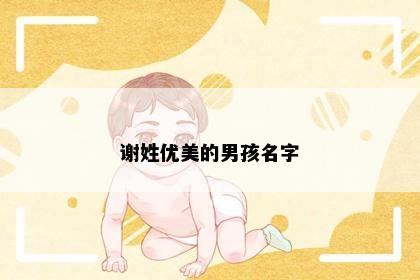 谢姓优美的男孩名字