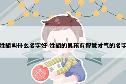 姓胡叫什么名字好 姓胡的男孩有智慧才气的名字