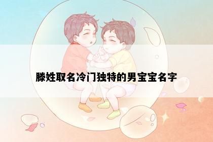 滕姓取名冷门独特的男宝宝名字