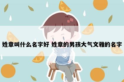 姓章叫什么名字好 姓章的男孩大气文雅的名字