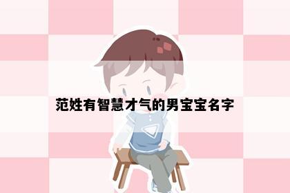 范姓有智慧才气的男宝宝名字