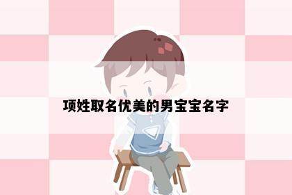 项姓取名优美的男宝宝名字