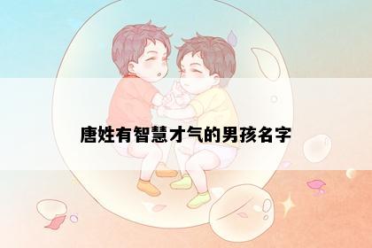 唐姓有智慧才气的男孩名字