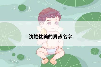 沈姓优美的男孩名字