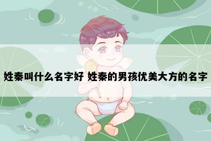 姓秦叫什么名字好 姓秦的男孩优美大方的名字