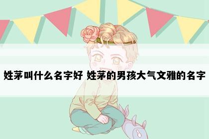 姓茅叫什么名字好 姓茅的男孩大气文雅的名字