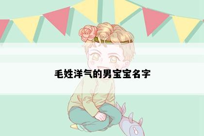 毛姓洋气的男宝宝名字