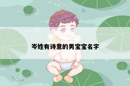 岑姓有诗意的男宝宝名字