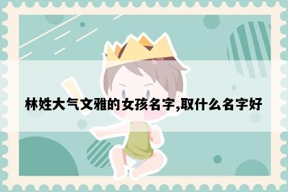 林姓大气文雅的女孩名字,取什么名字好