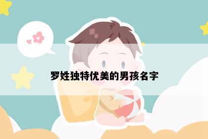 罗姓独特优美的男孩名字