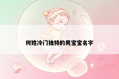 何姓冷门独特的男宝宝名字