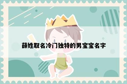 薛姓取名冷门独特的男宝宝名字