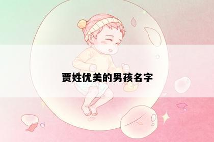 贾姓优美的男孩名字