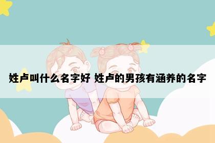 姓卢叫什么名字好 姓卢的男孩有涵养的名字