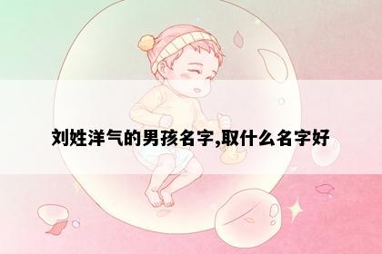 刘姓洋气的男孩名字,取什么名字好