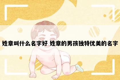 姓章叫什么名字好 姓章的男孩独特优美的名字