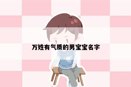 万姓有气质的男宝宝名字