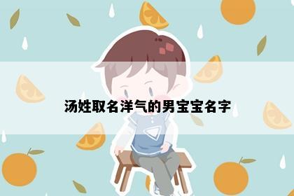 汤姓取名洋气的男宝宝名字