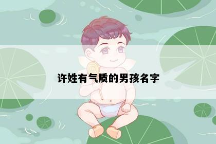许姓有气质的男孩名字
