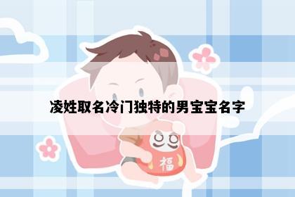 凌姓取名冷门独特的男宝宝名字